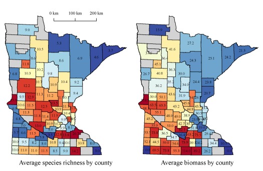 Summary of species richness (count) and total biomass (lbs per net) for lakes in Minnesota. 